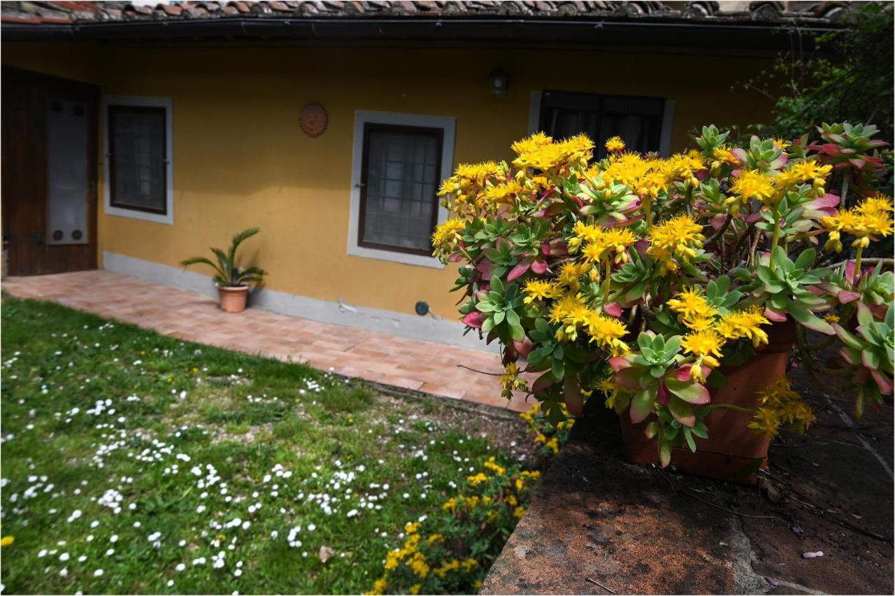 Appartamento I Cipressi Figline Valdarno Dış mekan fotoğraf